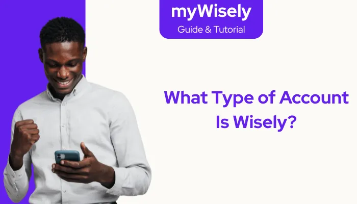 What Type of Account Is Wisely?